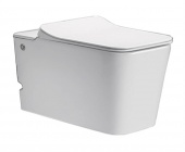 Ceruttispa Disgrazia Aria C-370C